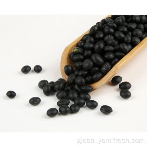 Recipe For Black Bean Brownies Black Bean 100G Factory
